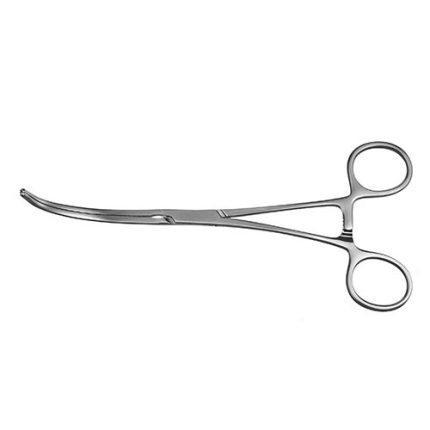 Exclusion Clamp