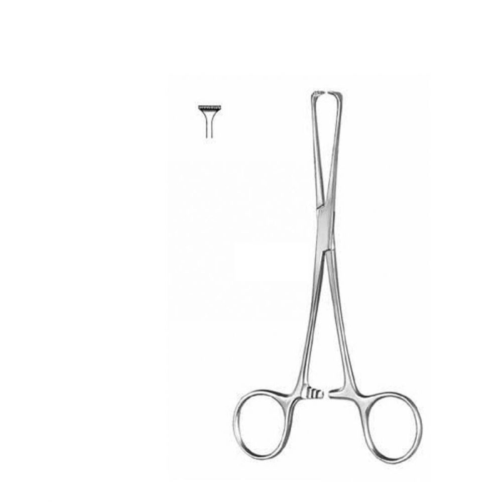 Allis Tissue Forcep 15cm Straight
