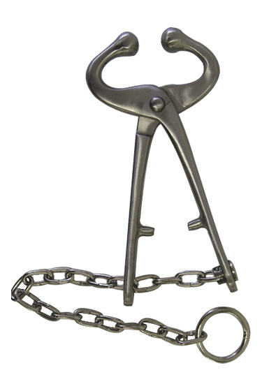 Large Animal Equipment
