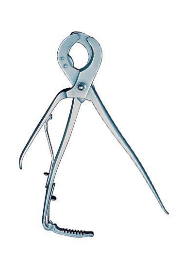 Castration Spaying