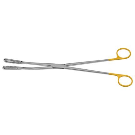 Bierer Ovum Forceps