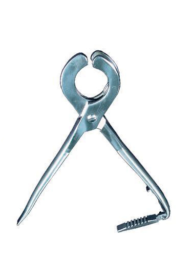 Castration Spaying