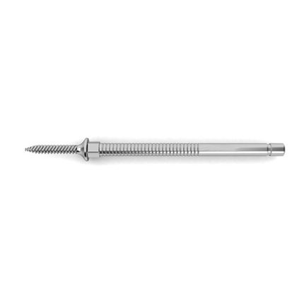 Distraction Screws