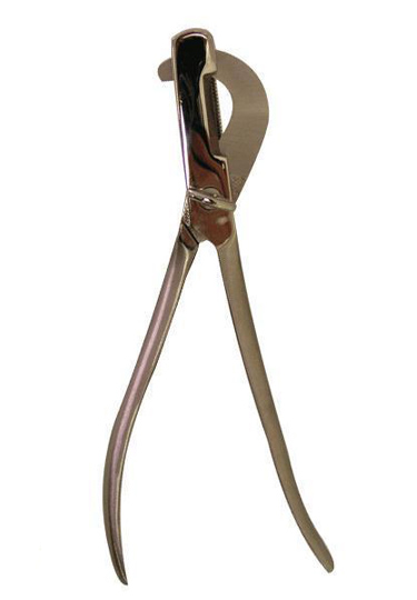 Castration Spaying