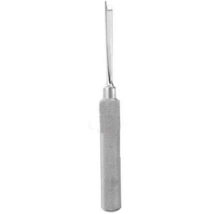 Braithwaite Nasal Chisl