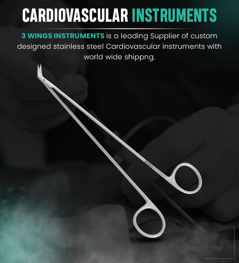 cardiovascular-cat