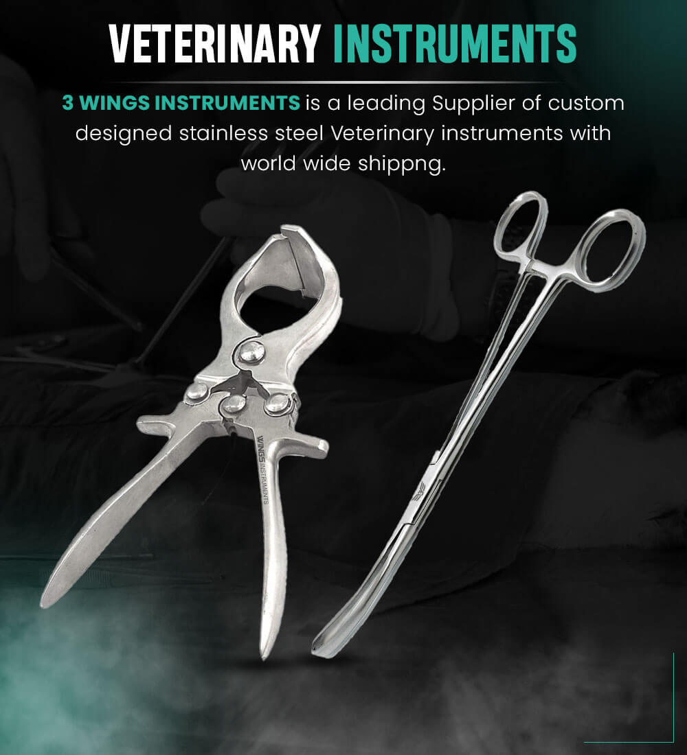 veterianry-cat